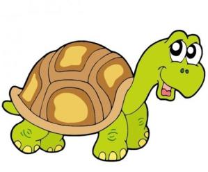 Tortue